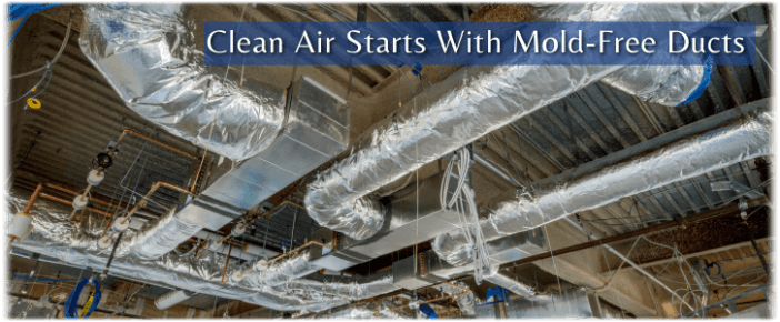 Air Duct Mold Removal in Cherry Hill NJ