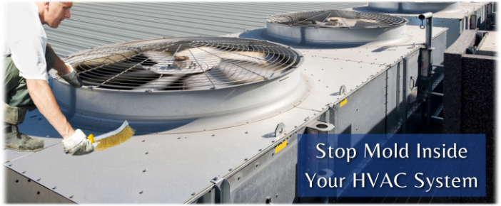 HVAC Mold Removal Cherry Hill NJ
